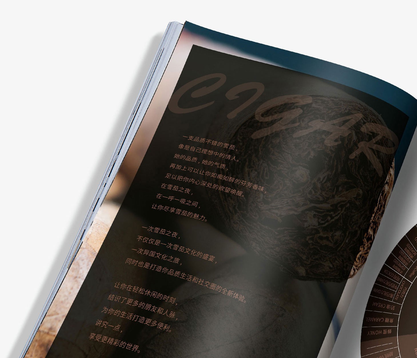 画册设计、版面规划、产品拍摄、画册印刷